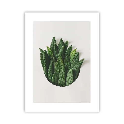 Poster - Curiozitatea nestăvilită - 30x40 cm