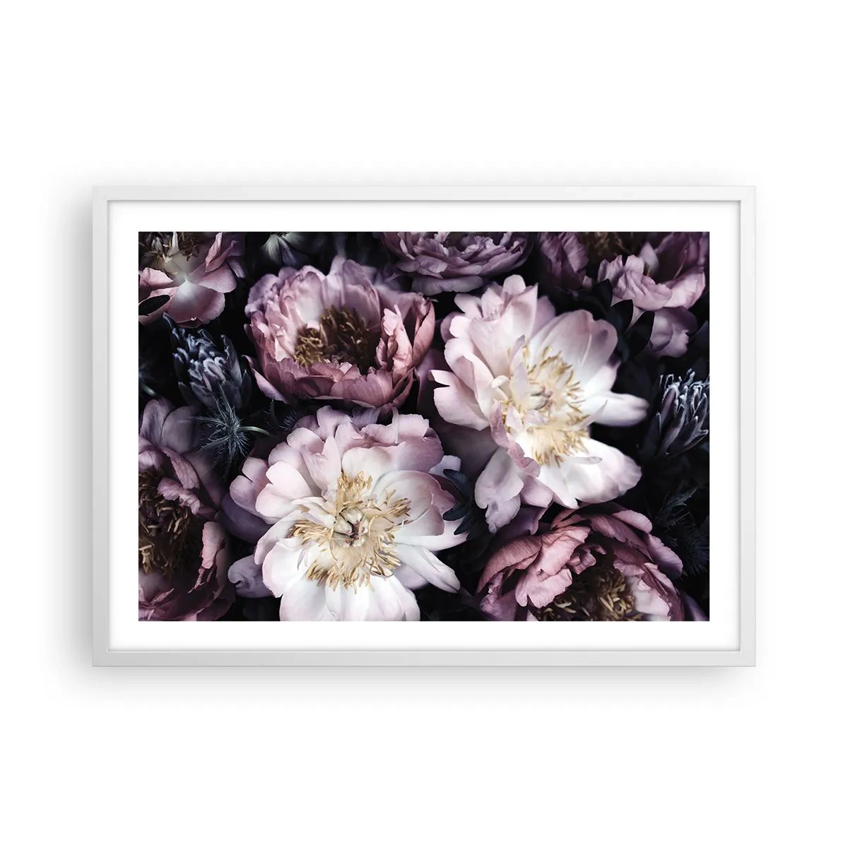 Poster în ramă albă - Buchet în stil vechi - 70x50 cm