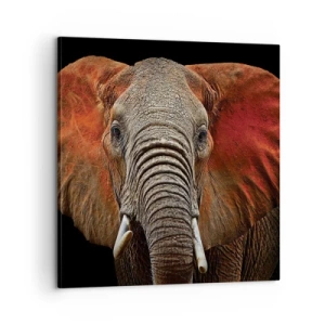 Tablou pe pânză - Sunt sălbatic, și tu? - 60x60 cm