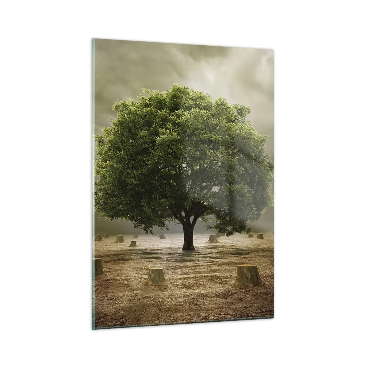 Tablou pe sticlă - Toate speranțele - 50x70 cm