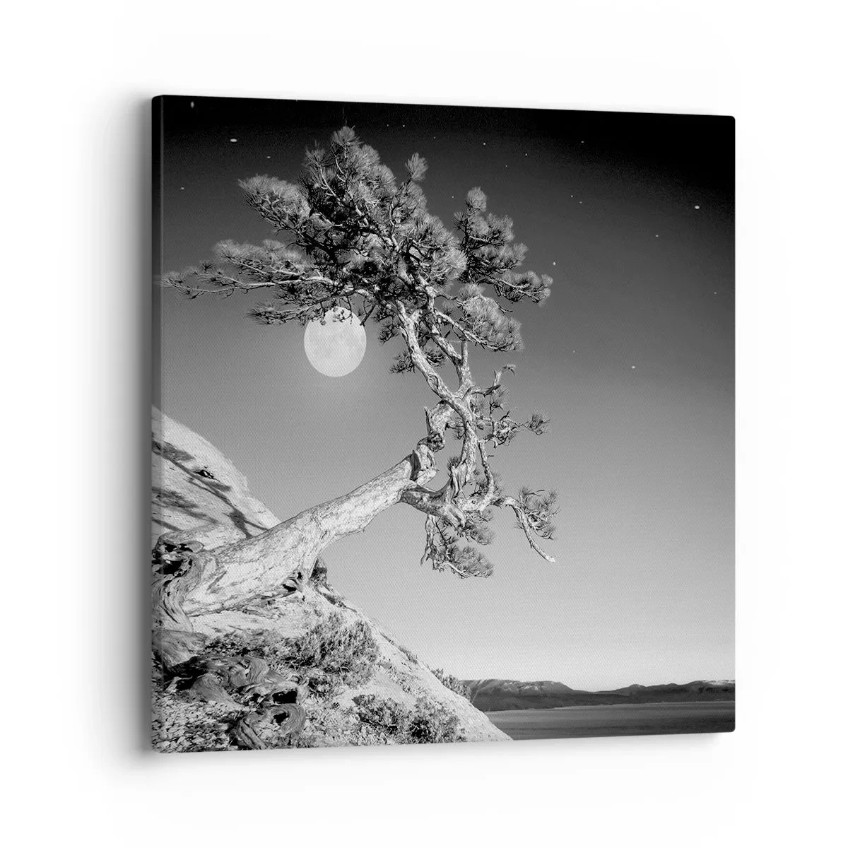 Tablou pe pânză - Războinicul victorios - 40x40 cm