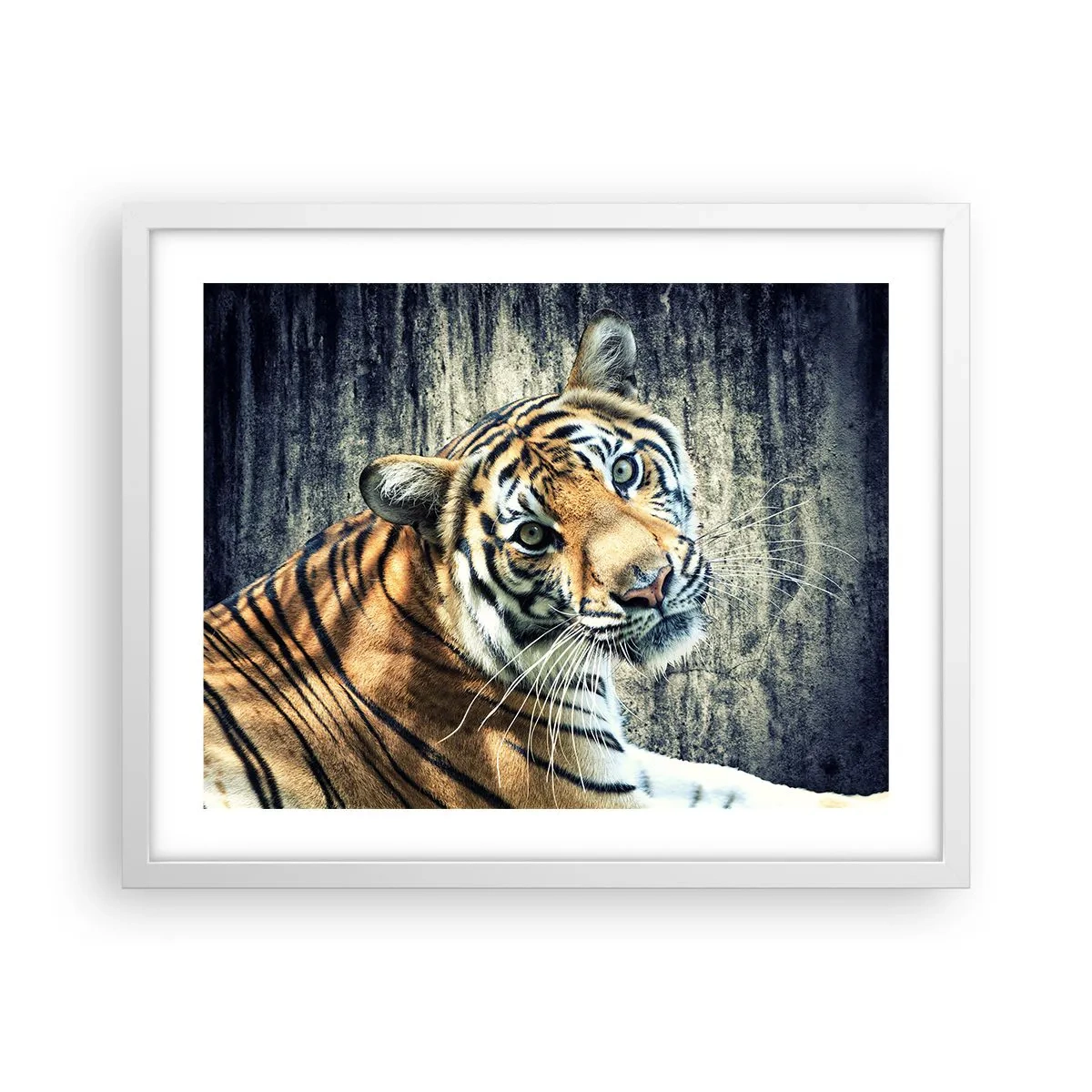 Poster în ramă albă - Portret în fluxuri de lumină - 50x40 cm