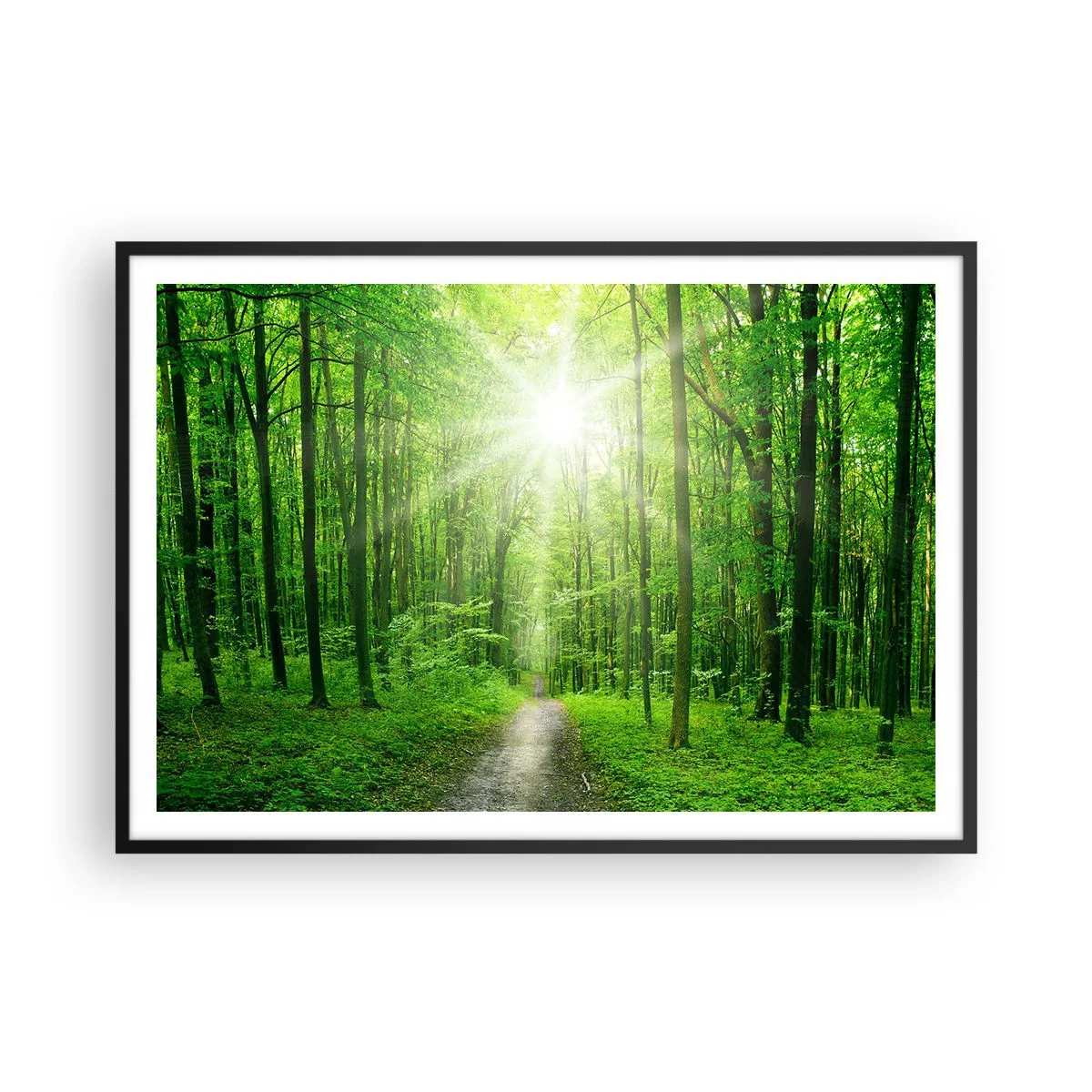 Poster în ramă neagră - Catedrala verde - 100x70 cm