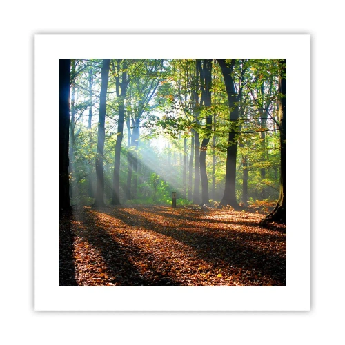 Poster - Străluciri și umbre - 40x40 cm