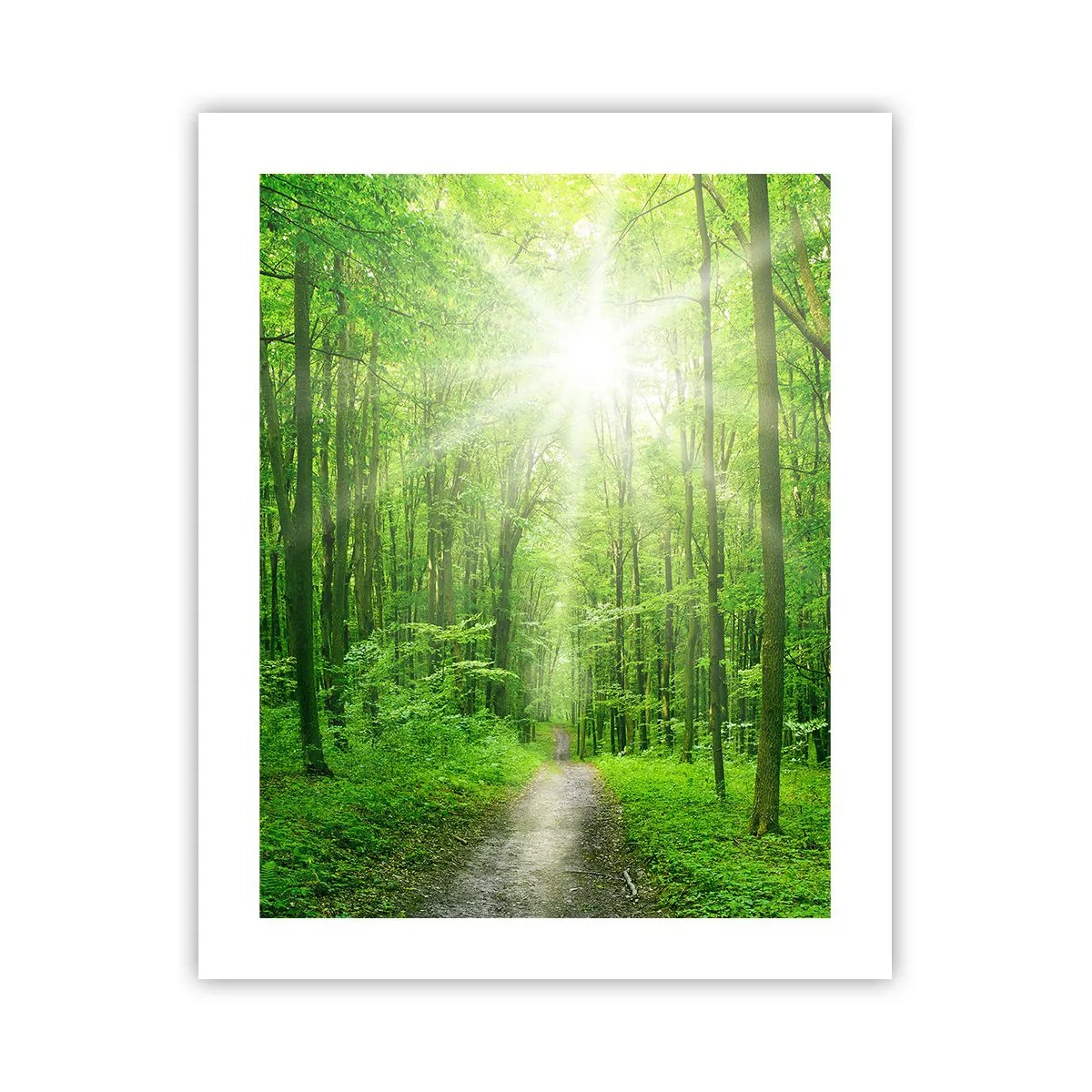 Poster - Catedrala verde - 40x50 cm