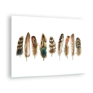 Tablou pe sticlă - O compoziție de pene colorate pe un fundal alb - 70x50cm - Variație cu pene - Decorațiune modernă pentru perete pentru living și dormitor ARTTOR