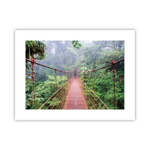 Poster - Suspendat deasupra coroanelor arborilor - 40x30 cm