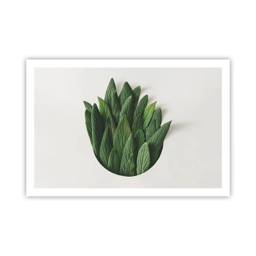 Poster - Curiozitatea nestăvilită - 91x61 cm