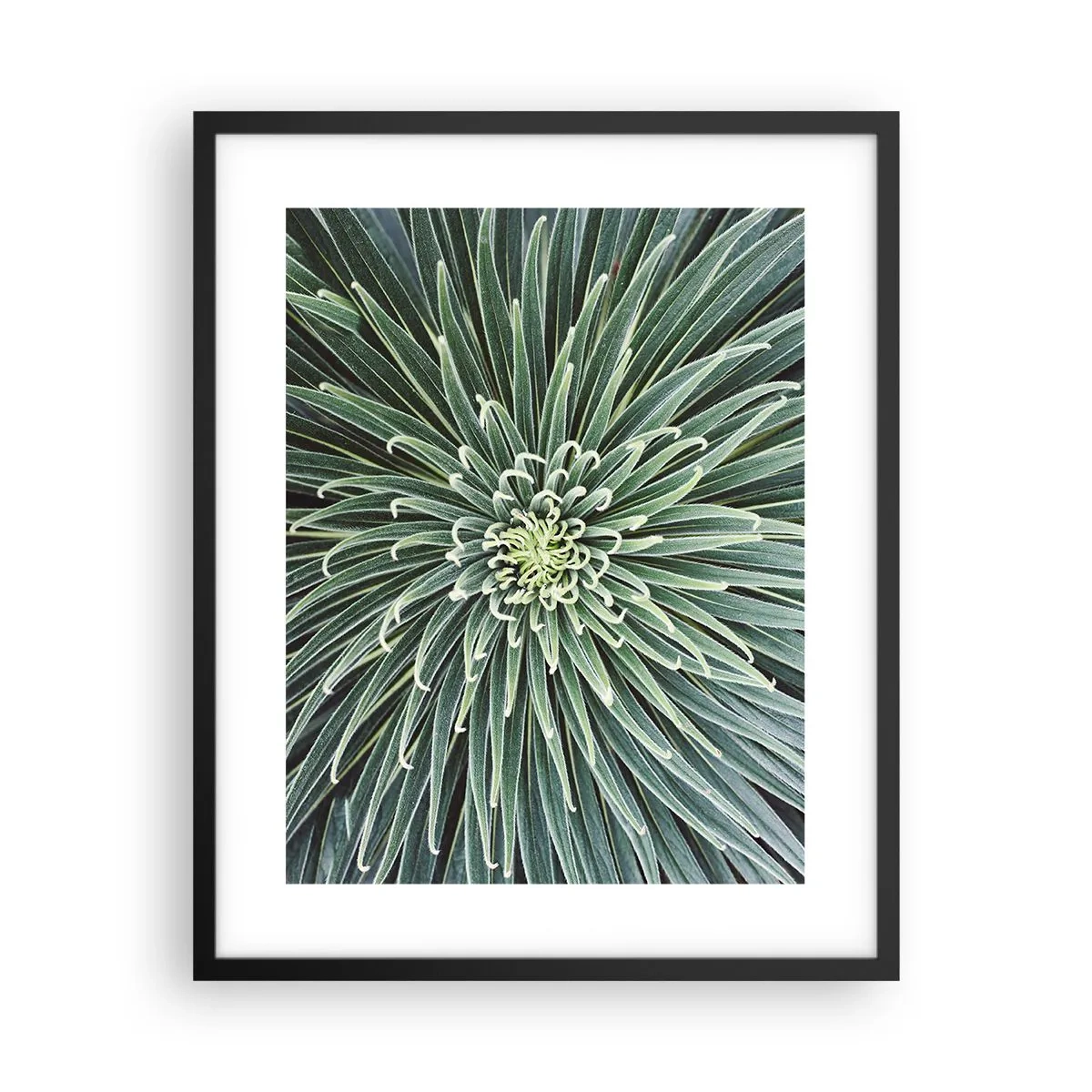 Poster în ramă neagră - Nașterea unei stele - 40x50 cm