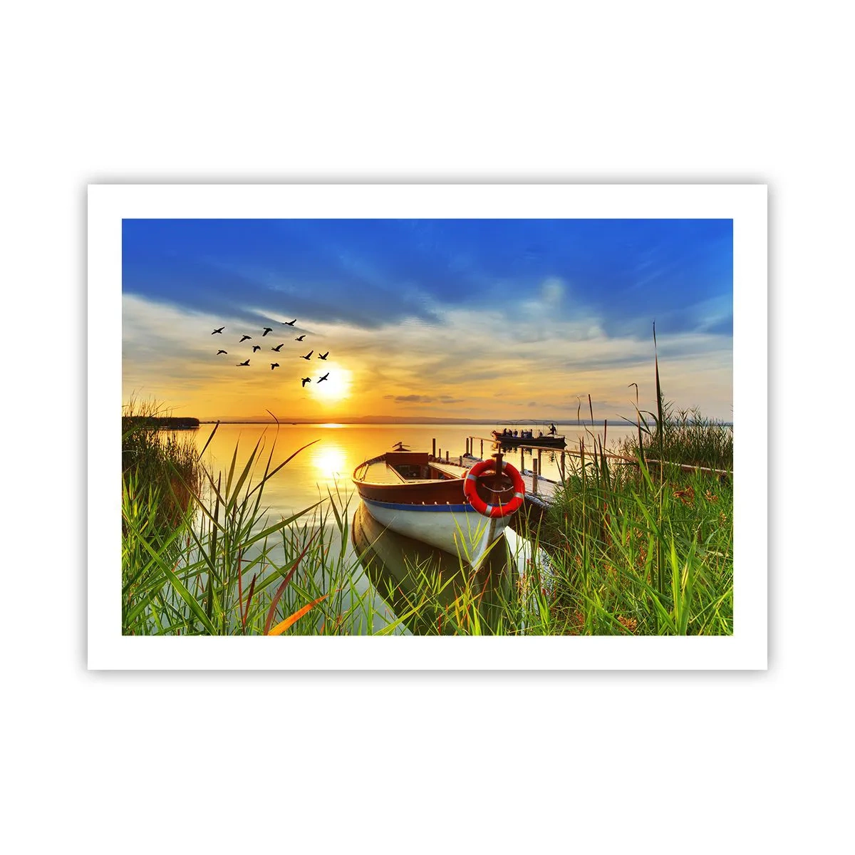 Poster - Cormoranii pleacă deja - 70x50 cm