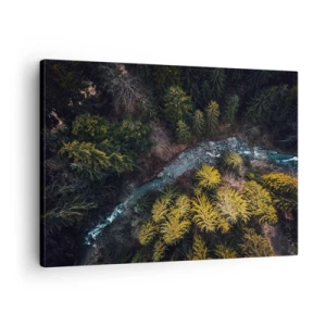 Tablou pe pânză Canvas - O vedere de sus a unei păduri cu un râu șerpuitor - 70x50cm - Rapid și mai rapid - Decorațiune modernă pentru perete pentru living și dormitor ARTTOR