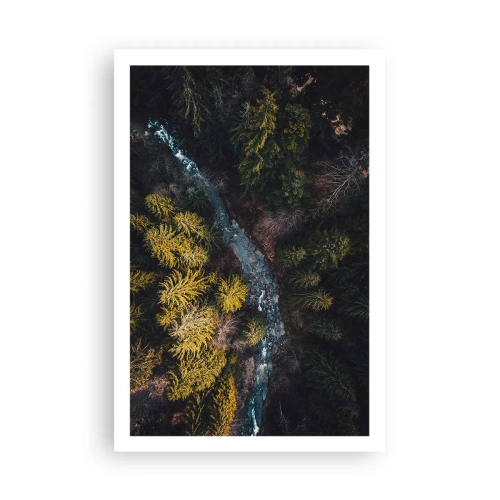 Poster - Rapid și mai rapid - 61x91 cm