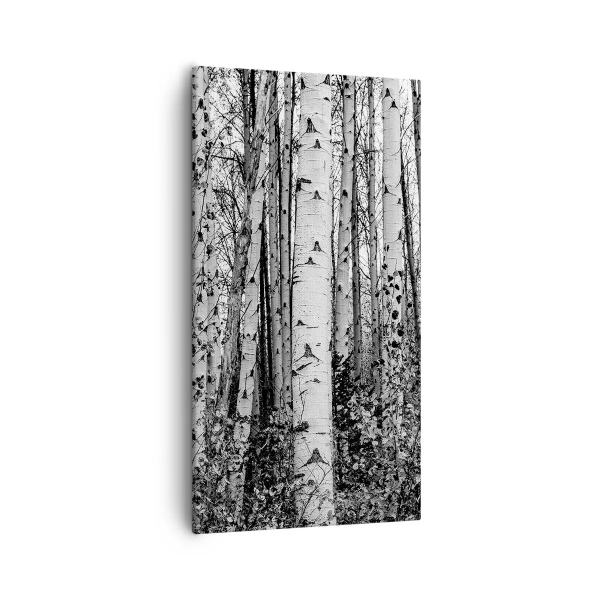 Tablou pe pânză - Coloane de mesteacăn - 55x100 cm