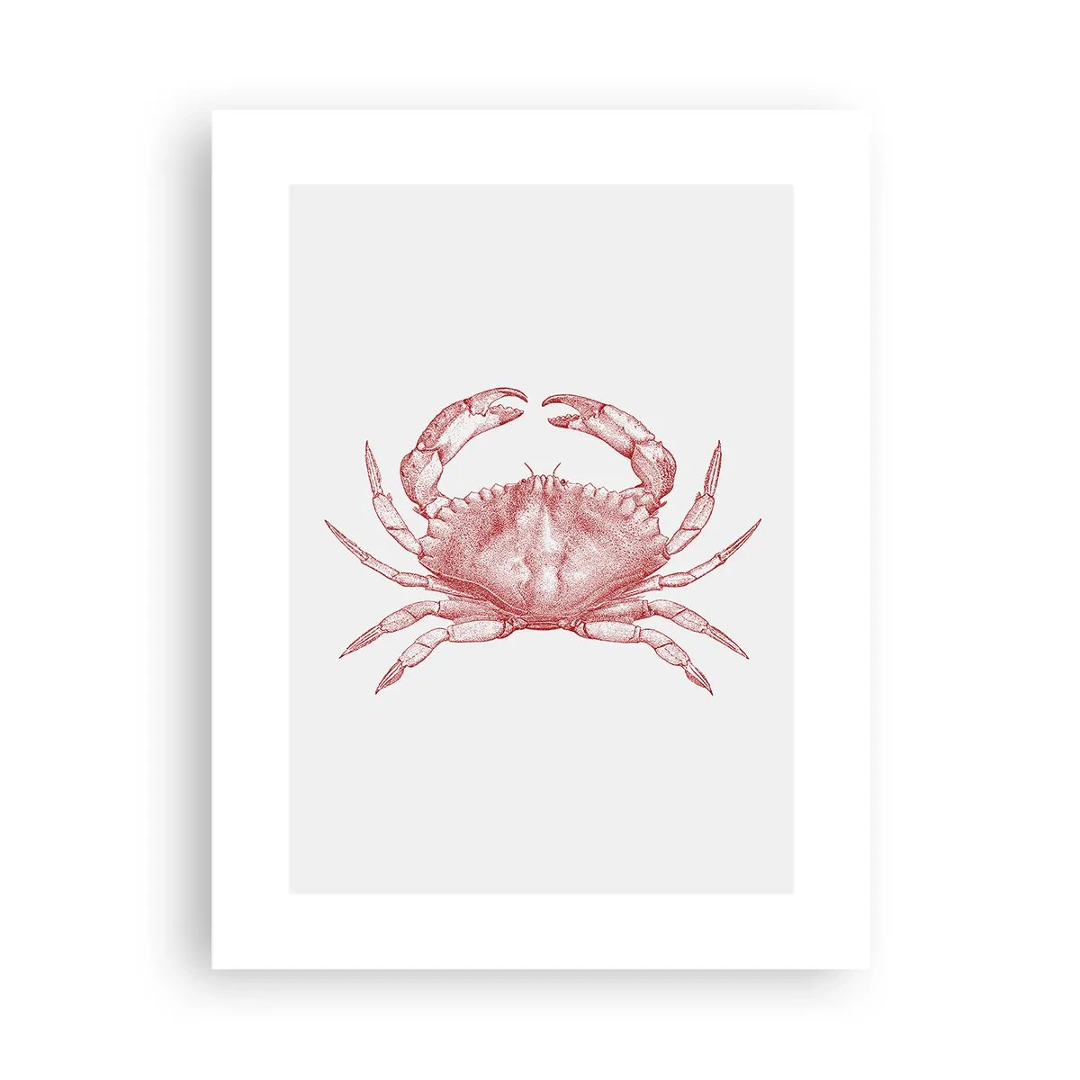 Poster - Crab peste crabi - 30x40 cm