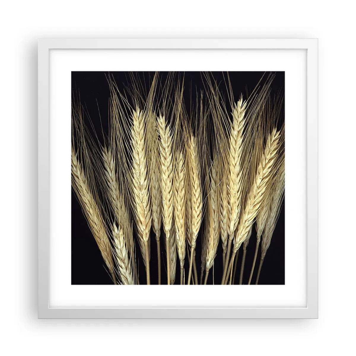 Poster în ramă albă - Magie rustică - 40x40 cm