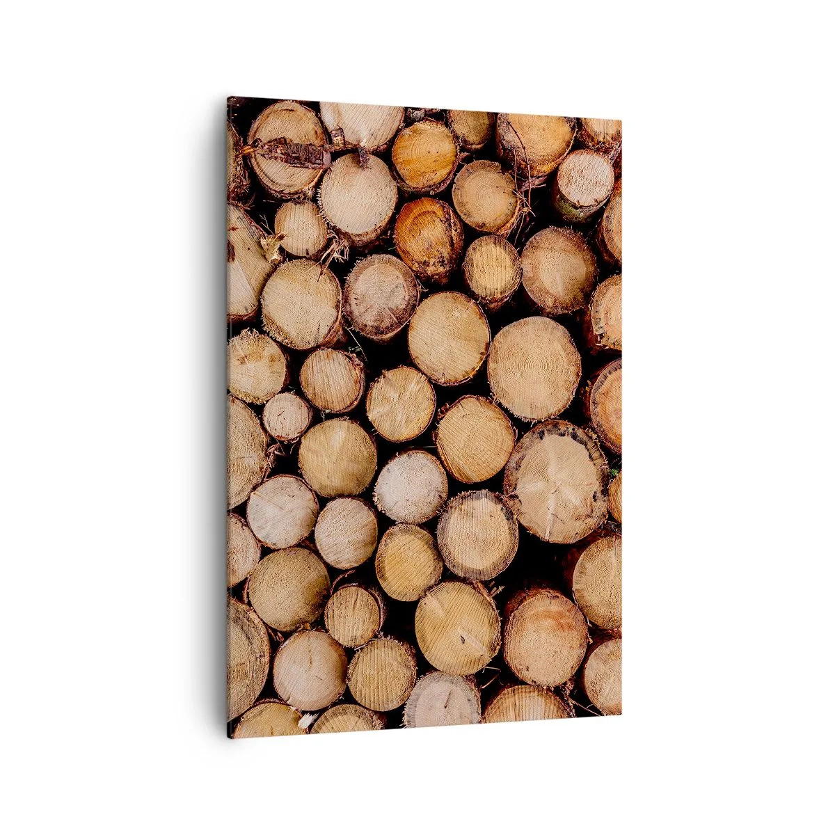 Tablou pe pânză - Un nou început - 70x100 cm