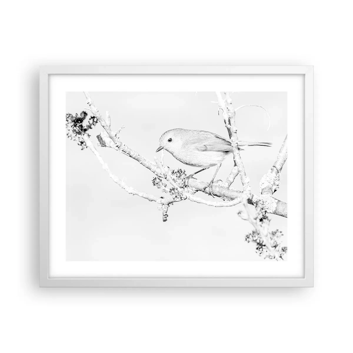 Poster în ramă albă - Dimineață de iarnă - 50x40 cm