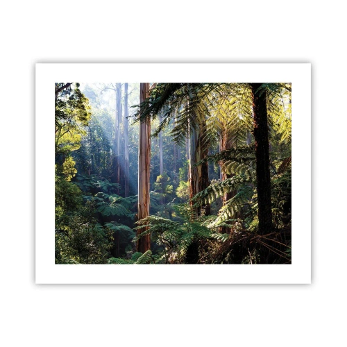 Poster - O poveste din pădure - 50x40 cm