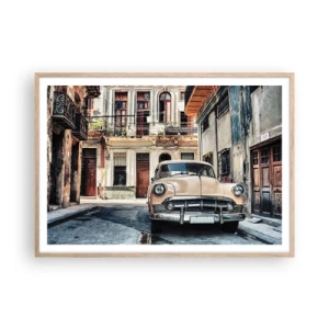 Poster în ramă de stejar deschis - O siestă în Havana - 100x70 cm