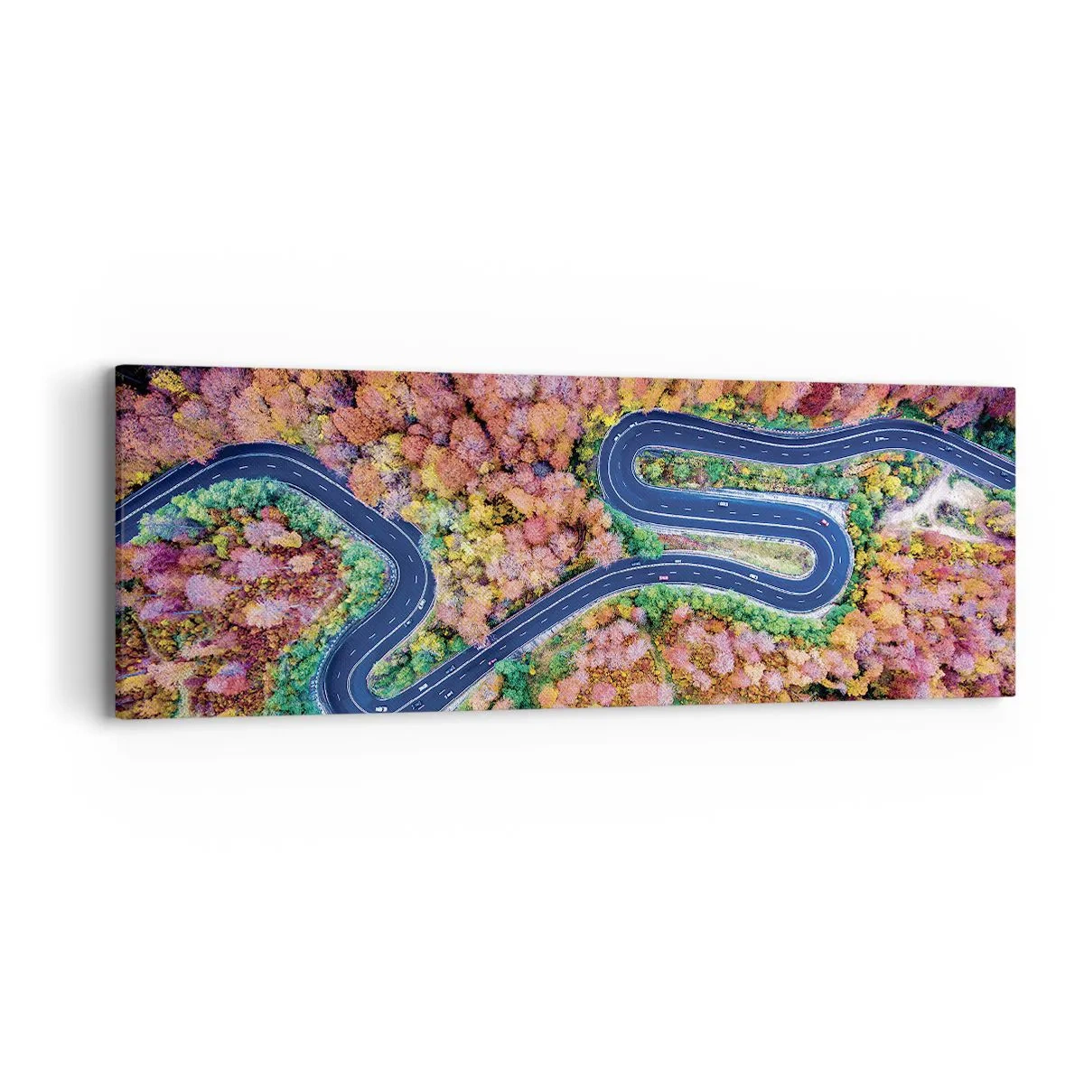 Tablou pe pânză - Un drum șerpuit prin pădure - 90x30 cm