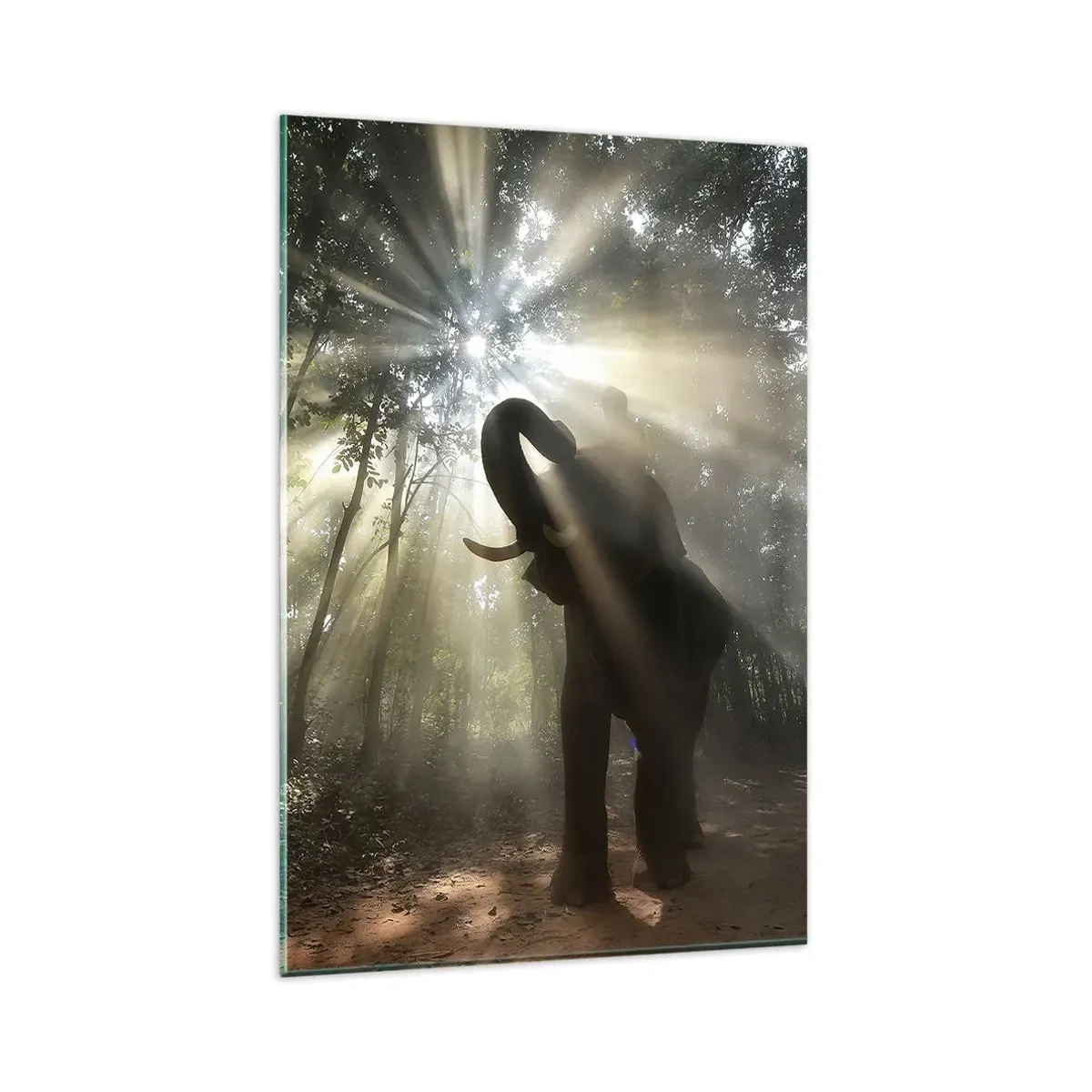 Tablou pe sticlă - Sub o stea norocoasă - 80x120 cm
