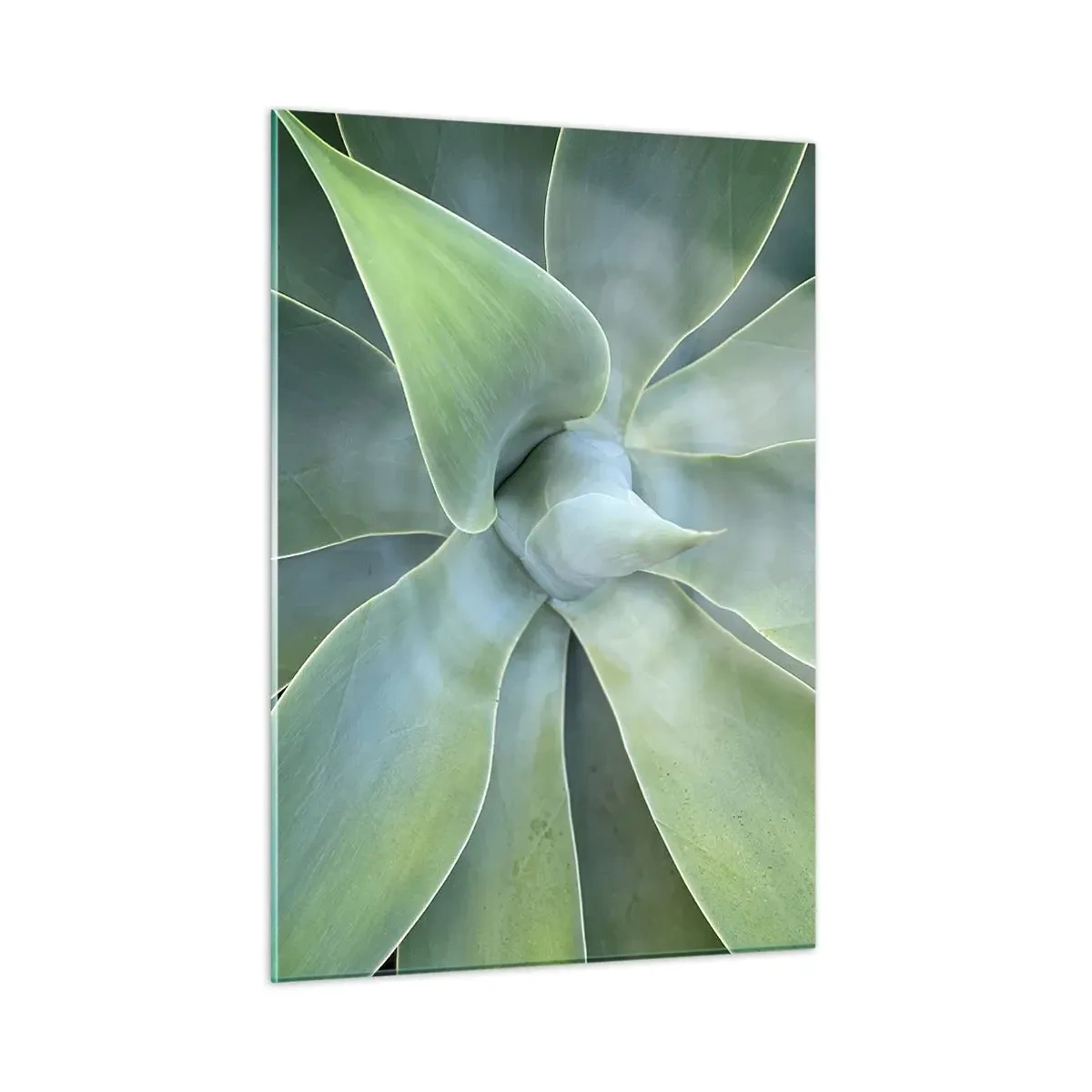 Tablou pe sticlă - Nașterea verdeții - 50x70 cm