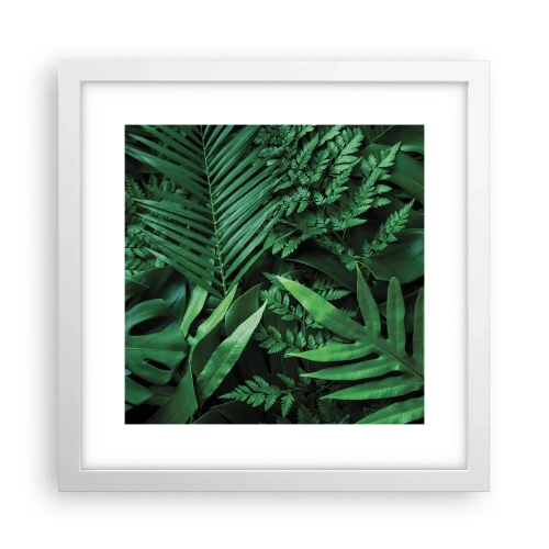 Poster în ramă albă - Înfășurate în verde - 30x30 cm