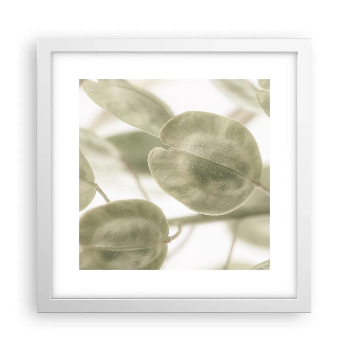 Poster în ramă albă - La început au fost frunzele... - 30x30 cm