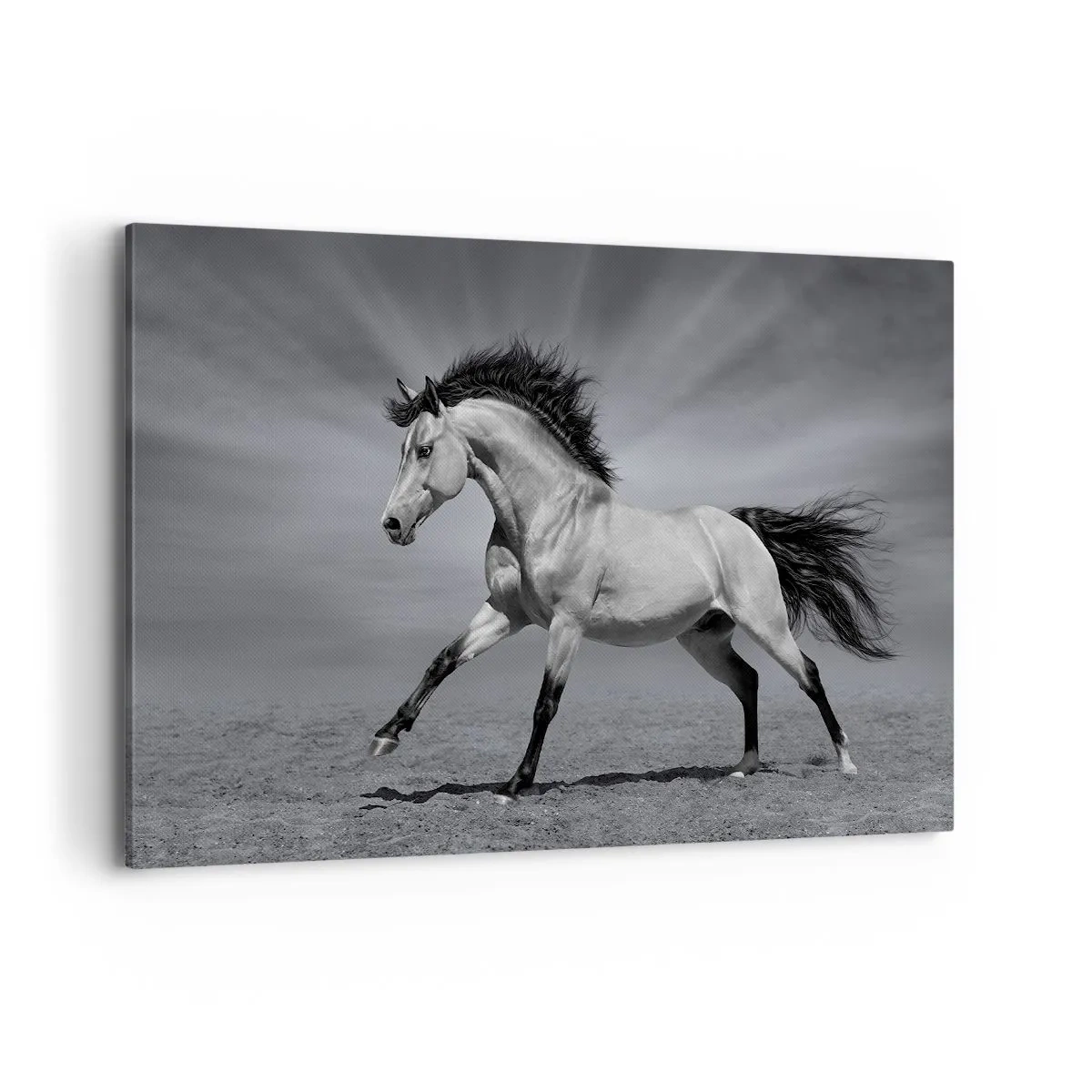 Tablou pe pânză - Născut pentru a încânta - 120x80 cm