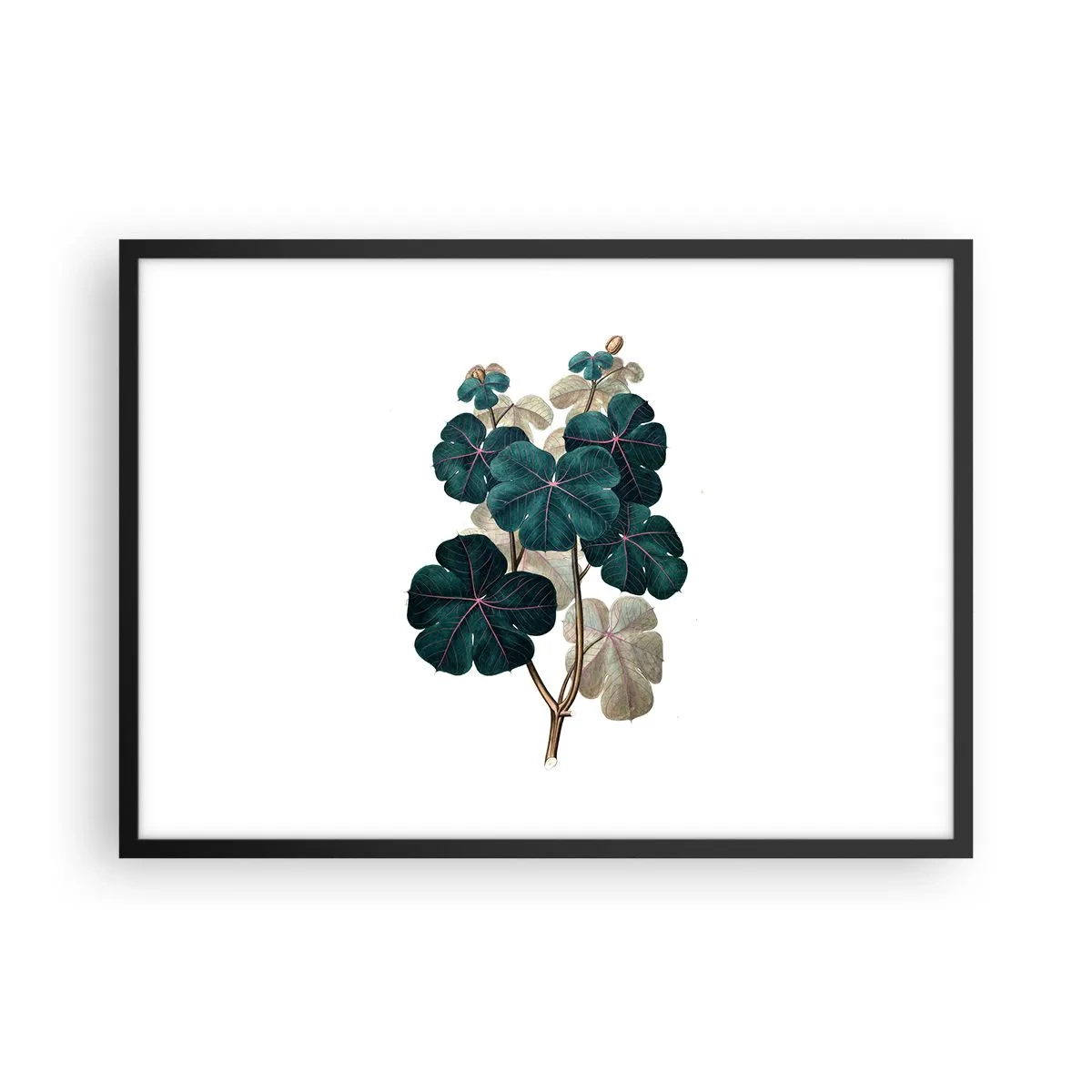 Poster în ramă neagră - Dintr-un vechi ierbar - 70x50 cm