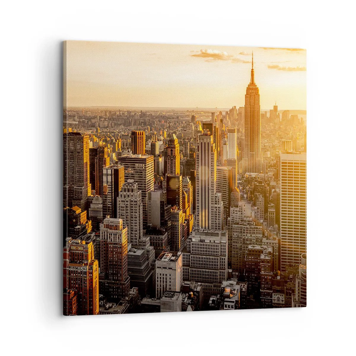 Tablou pe pânză - Crescând la soare - 60x60 cm