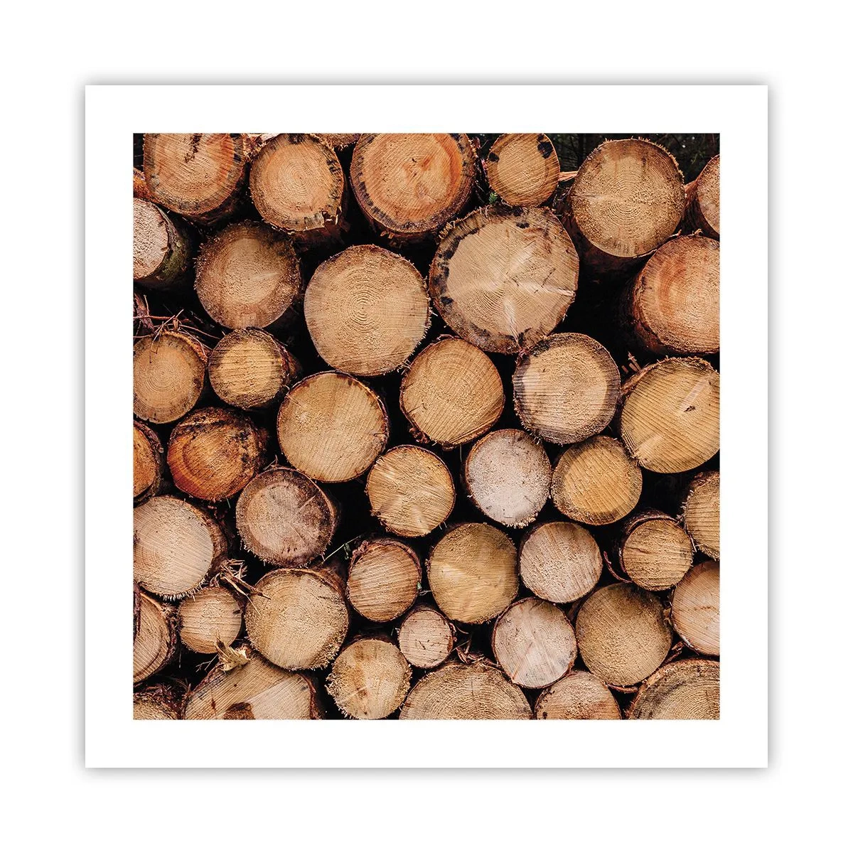 Poster - Un nou început - 50x50 cm