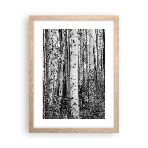 Poster în ramă de stejar deschis - Coloane de mesteacăn - 30x40 cm