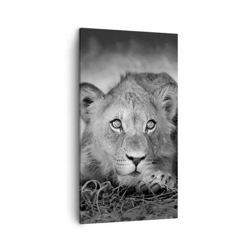 Tablou pe pânză - Pisicuța regală - 45x80 cm