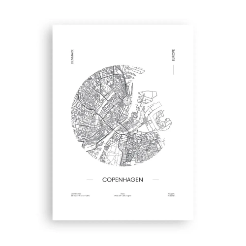 Poster - Anatomia Copenhagăi - 50x70 cm