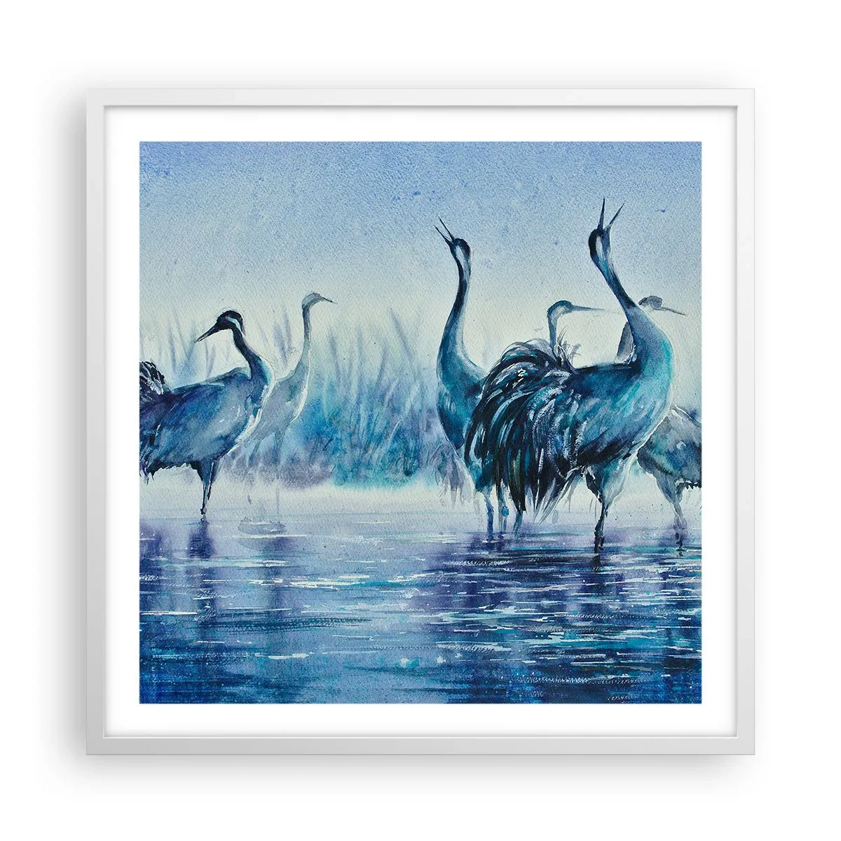 Poster în ramă albă - Întâlnirea de dimineață - 60x60 cm