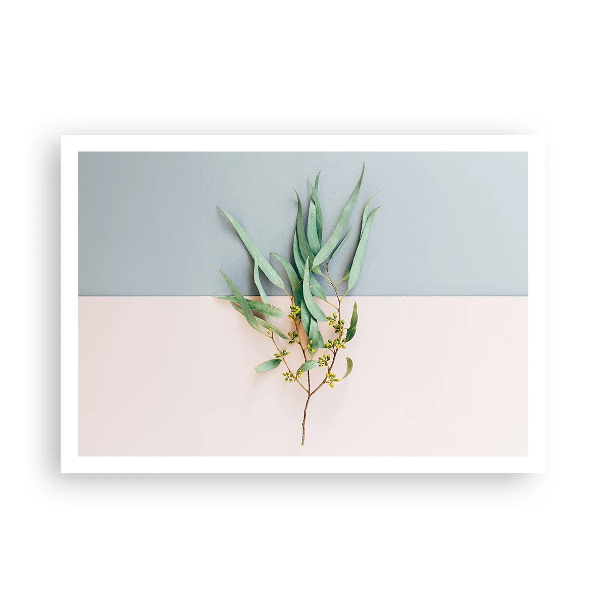 Poster - Subtilitate pastelată - 100x70 cm