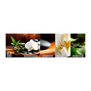 Mostră de Tapet Standard Eco - Lasă natura să te atingă - Flori, Orhidee, Orhidee - 100x30 cm