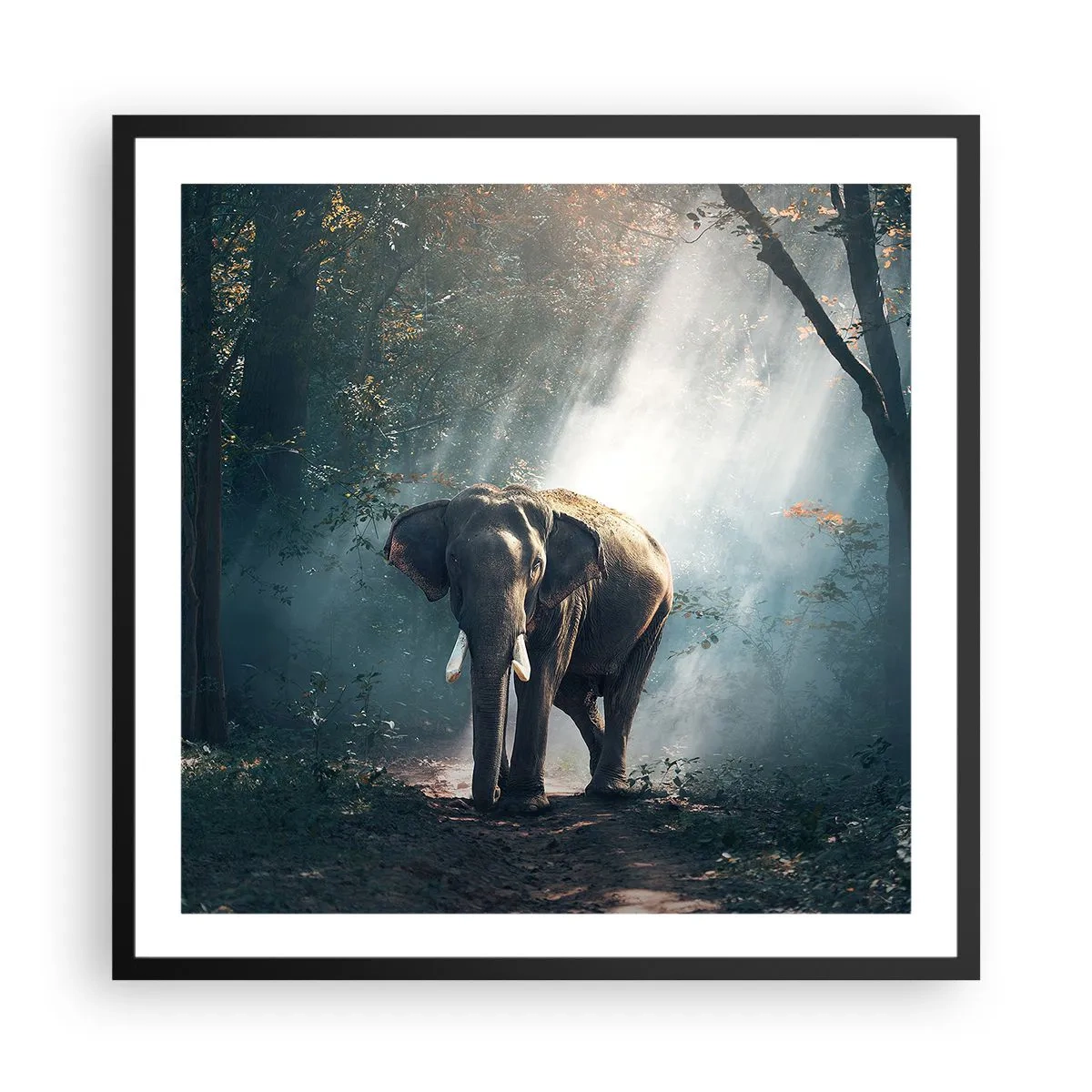 Poster în ramă neagră - O plimbare liniștită - 60x60 cm