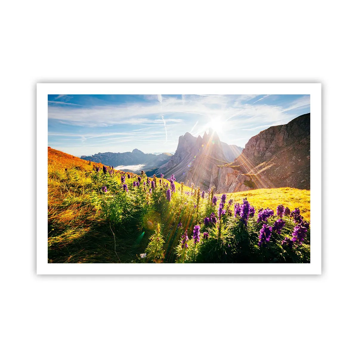 Poster - Viața secretă a ierburilor - 91x61 cm