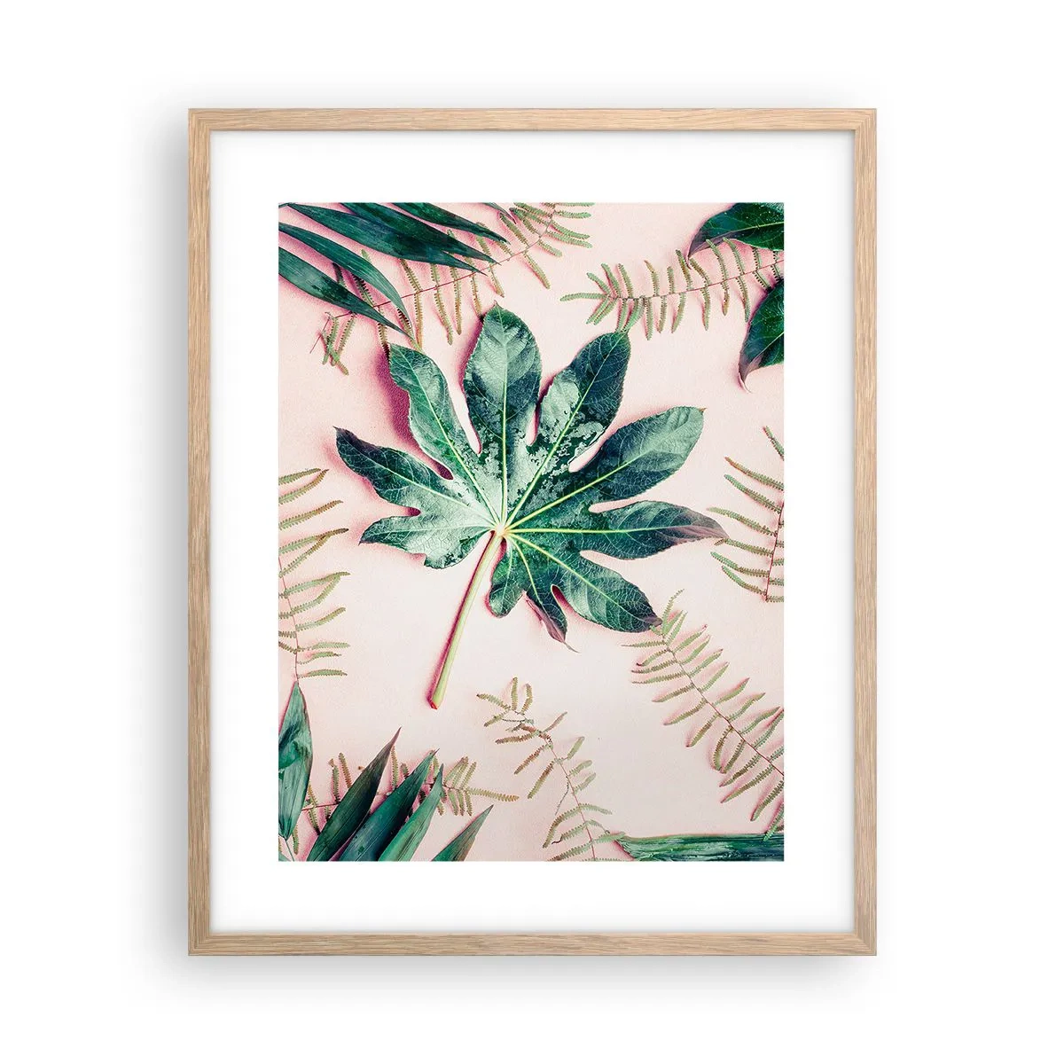 Poster în ramă de stejar deschis - Studiu de verdeață pe un fundal roz - 40x50 cm
