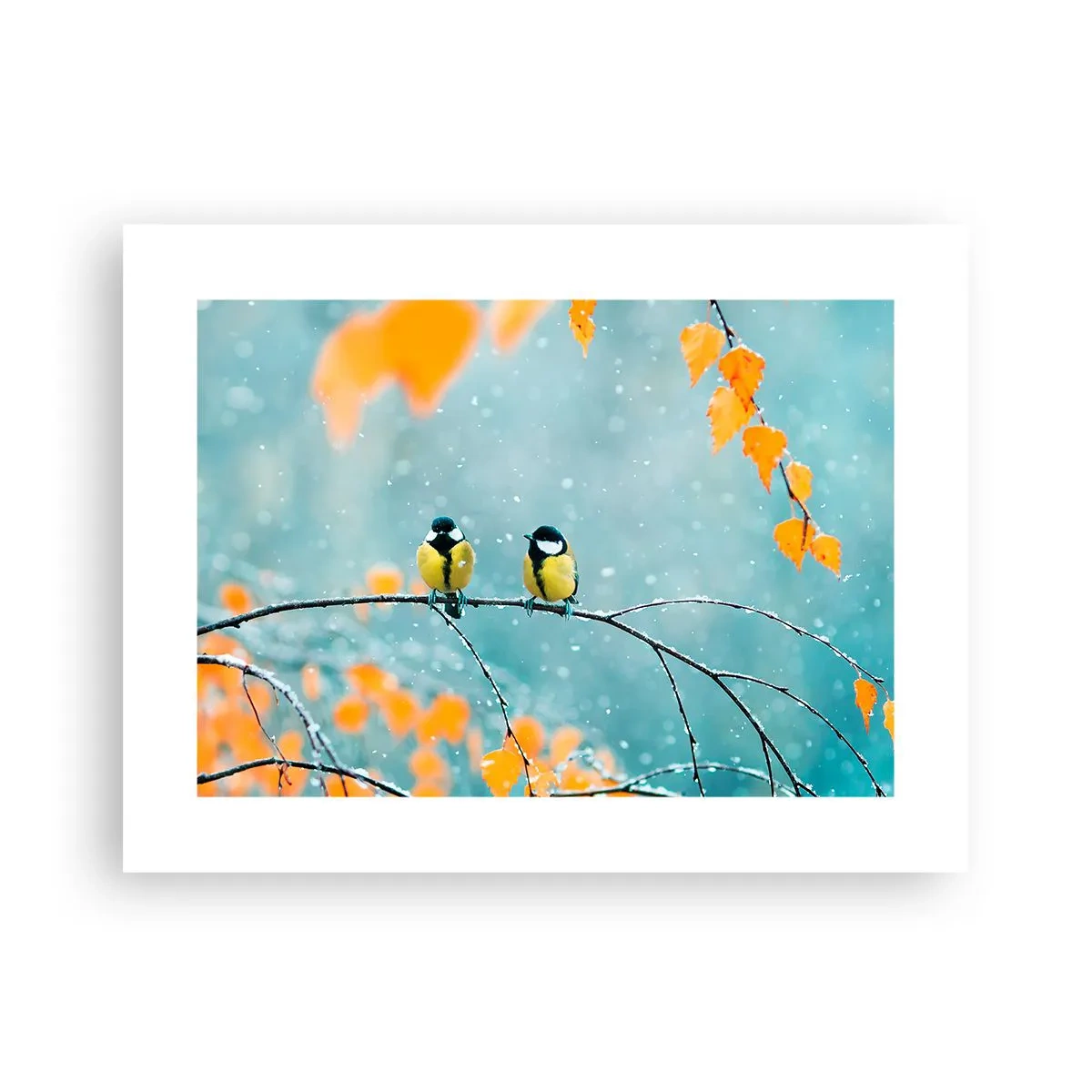 Poster - Bârfele păsărilor - 40x30 cm