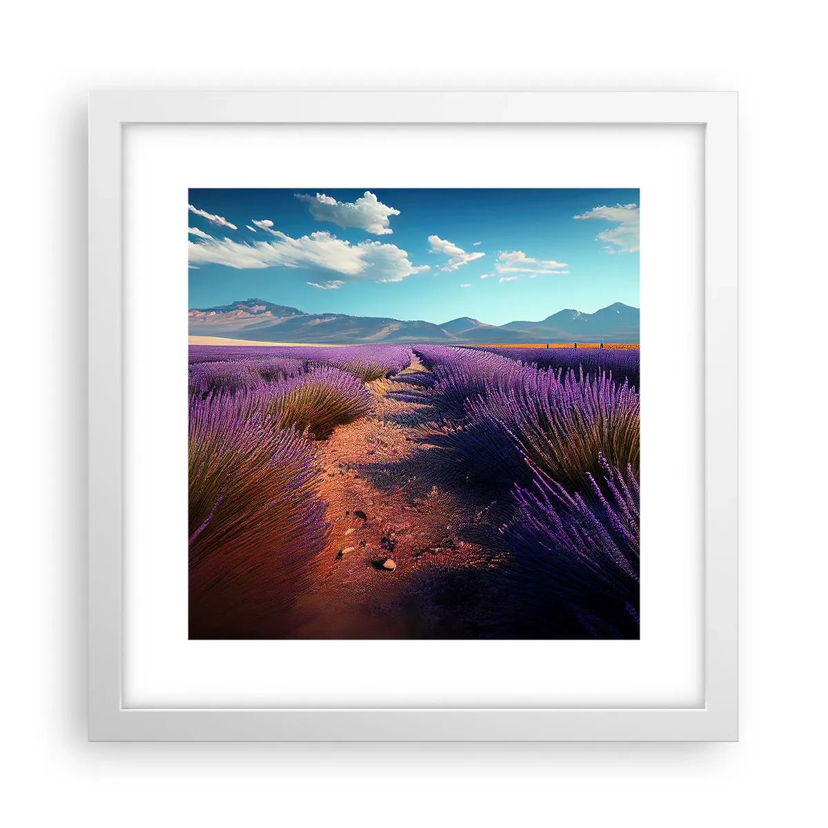 Poster în ramă albă - Câmpuri parfumate - 30x30 cm