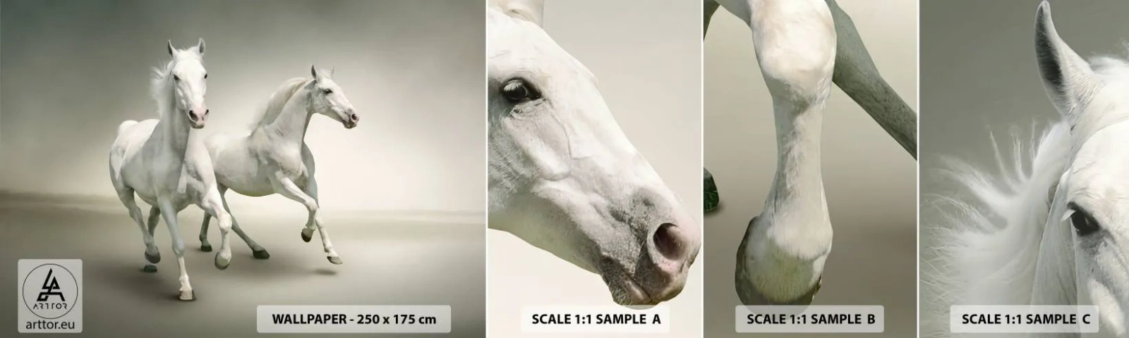 Mostră de Tapet Standard Eco - White power! - Animale, Cai, Natură - 100x30 cm