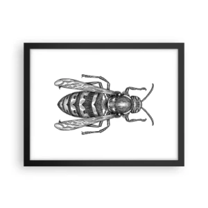 Poster în ramă neagră - De pe o planetă de insecte - 40x30 cm