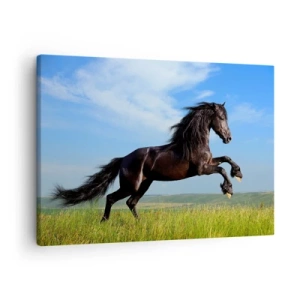 Tablou pe pânză Canvas - Un cal negru alergând pe un cer albastru și o pajiște verde - 70x50cm - Un manifest entuziast pentru libertate - Decorațiune modernă pentru perete pentru living și dormitor ARTTOR