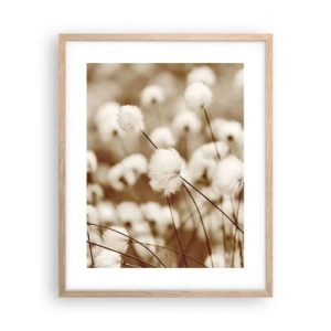 Poster în ramă de stejar deschis - Câmp pufos - 40x50 cm
