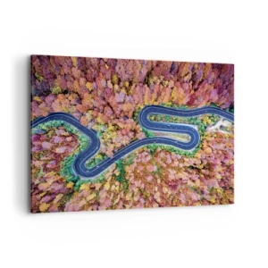 Tablou pe pânză - Un drum șerpuit prin pădure - 100x70 cm