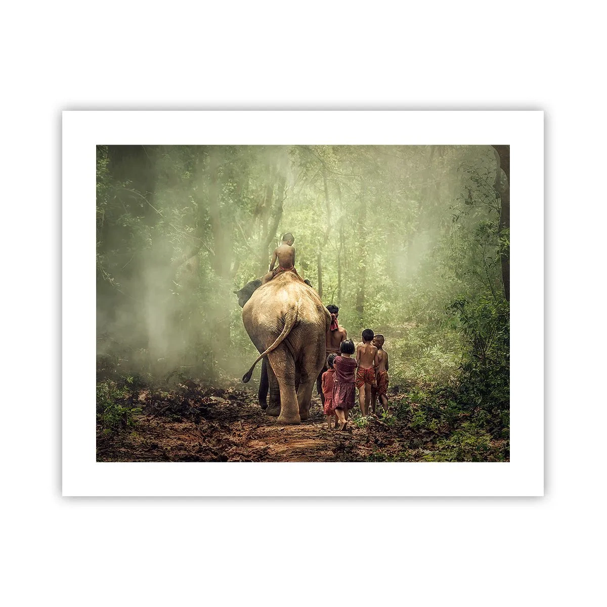 Poster - Noua Carte a Junglei - 50x40 cm