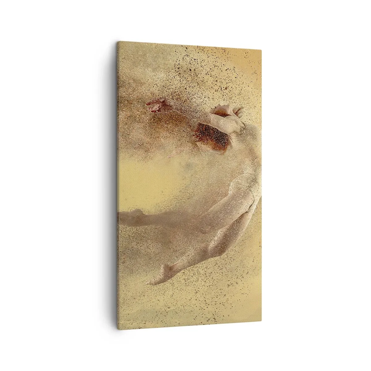 Tablou pe pânză - În exaltare de dans - 45x80 cm